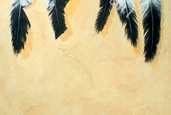 Coup Feathers. By B. Michael Hecht